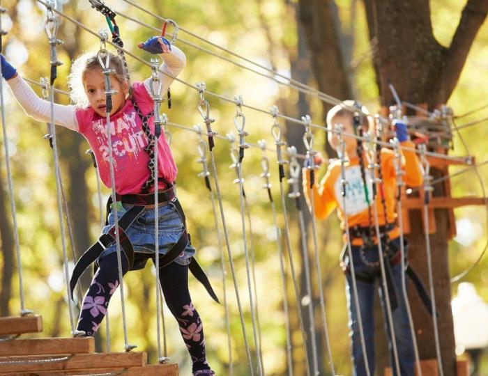 Веревочный парк - Загородный отель «Ателика Улиткино»
